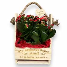 Drewniana DONICZKA prezent z okazji na Dzień babci i dziadka kwiaty nosidło